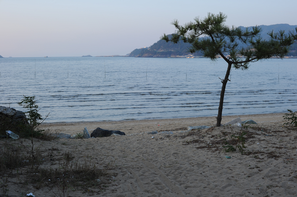 테스트 샘플 1 썸네일